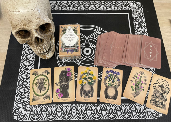 THE ANTIQUE ANATOMY TAROT - immagine 2