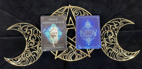 DIVINE ANIMALS ORACLE