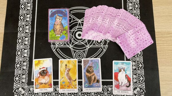 CAT TAROT - immagine 2