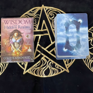 WISDOM OF THE HIDDEN REALMS ORACLE